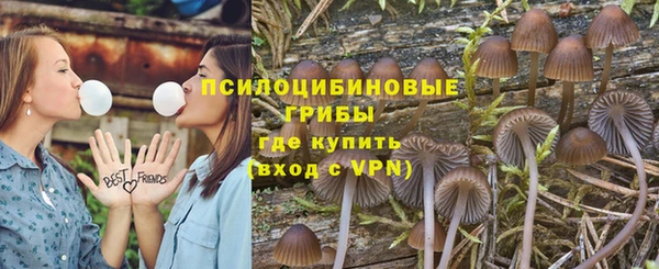 a pvp Баксан